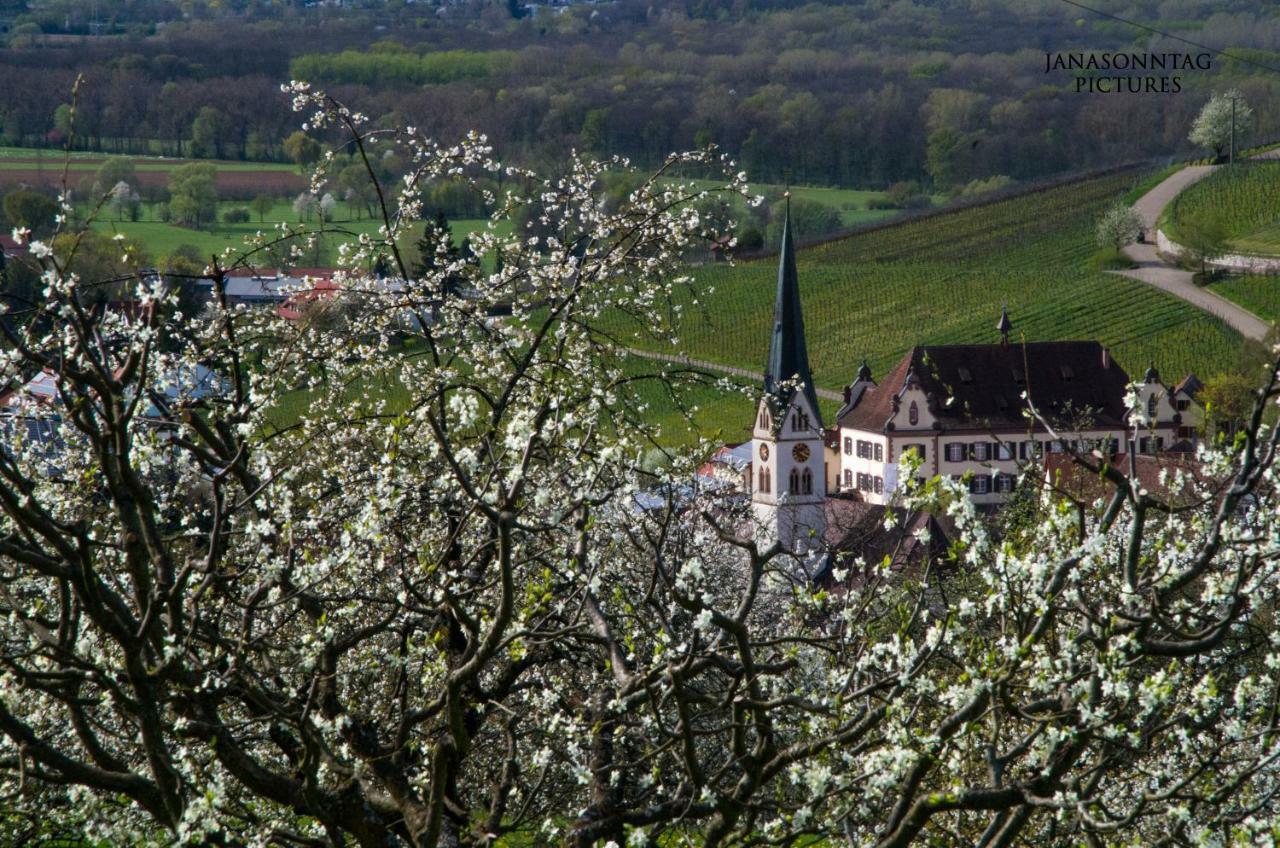 Apartment Schneeburg Ebringen Exteriér fotografie