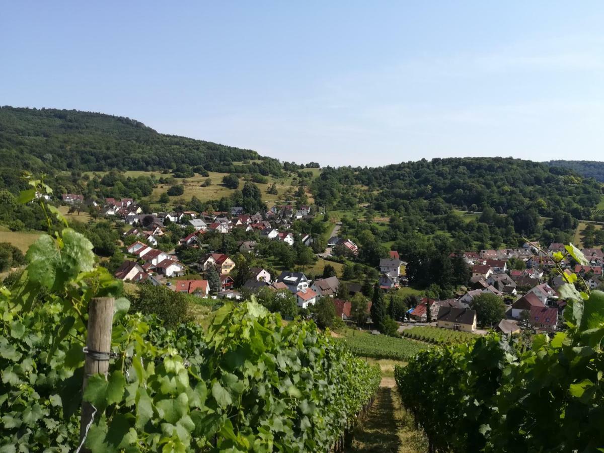Apartment Schneeburg Ebringen Exteriér fotografie